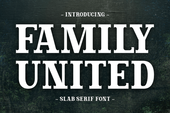 Family United Font for Web Design